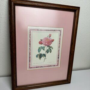 Vtg PIERRE JOSEPH REDOUTE BOTANICAL ART Rosa Gallica Aurelianensis Framed Print